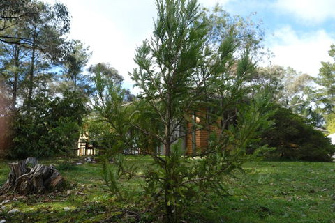 Sequoia Lane - Foster Accommodation 0