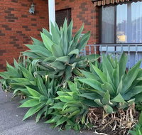Beautiful Bedroom in Bentleigh East - Foster Accommodation