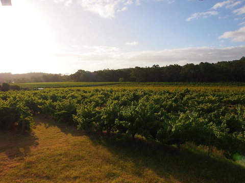 Bed & Breakfast At Tiffany's - Foster Accommodation 1