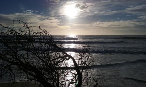BIG4 Nambucca Beach Holiday Park - Foster Accommodation 3