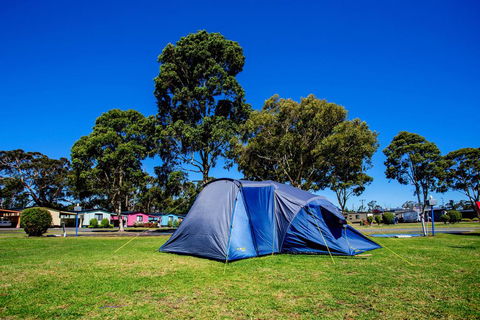 BIG4 Traralgon Park Lane Holiday Park - Foster Accommodation 2
