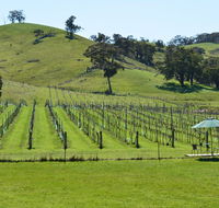 Blue House at Mountainside Wines - Foster Accommodation