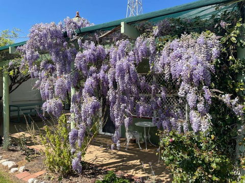 The Merredin Treasury Cottage - Foster Accommodation 1