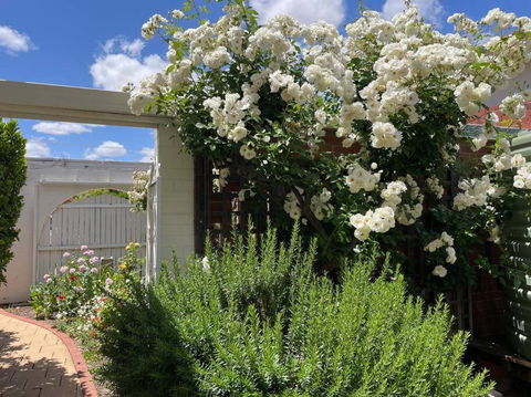 The Merredin Treasury Cottage - Foster Accommodation 2