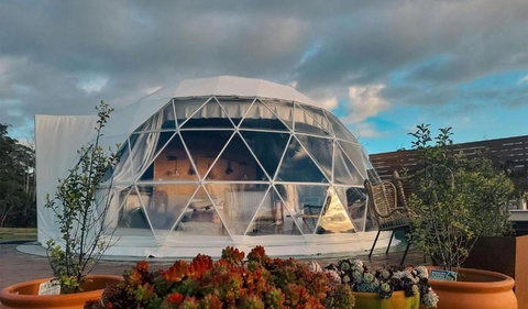 Wilder Tasmania - Foster Accommodation 0