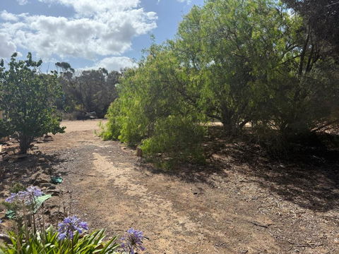 Woody House - Foster Accommodation 2