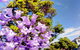 Big Perth (Private) Day Tour - thumb 3