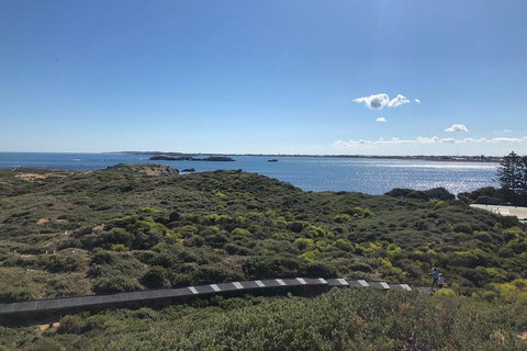 Penguin Island And Fremantle - Canoe, Chocolate & Coffee - Foster Accommodation 0
