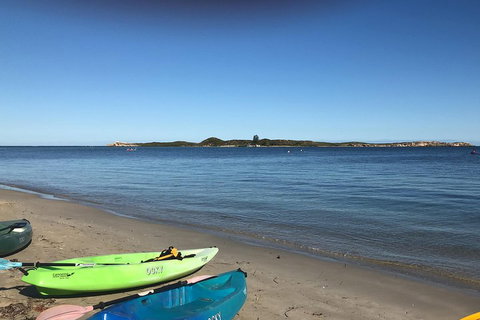 Penguin Island And Fremantle - Canoe, Chocolate & Coffee - Foster Accommodation 2