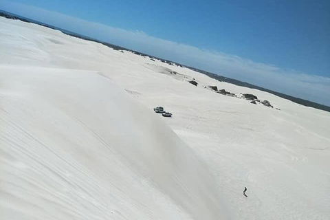 Yanchep & Lancelin - Wildlife, Cave And Sands - Foster Accommodation 3