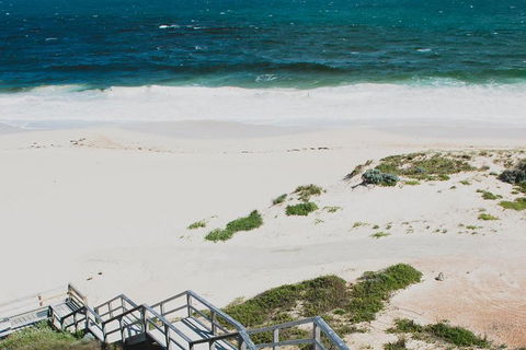 Yanchep & Lancelin - Wildlife, Cave And Sands - Foster Accommodation 5