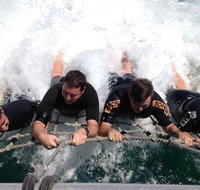 Cruise in Moreton Bay Marine Park and Moreton Island - Foster Accommodation