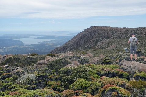 Kunanyi/Mt Wellington Explorer Bus - One Way Tour - Foster Accommodation 0