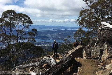 Kunanyi/Mt Wellington Explorer Bus - One Way Tour - Foster Accommodation 2