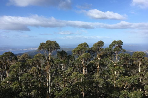 Kunanyi/Mt Wellington Explorer Bus - One Way Tour - Foster Accommodation 5