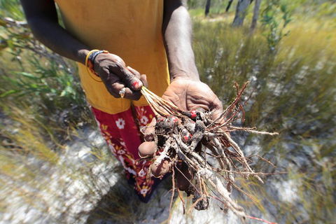 Gay-Wu Woman's 5 Day Yolngu Homeland Tour - Foster Accommodation 0