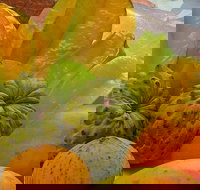 Private Half Day Tour Exclusive World Heritage Rainforest and Waterfall Tour from Cairns - Foster Accommodation