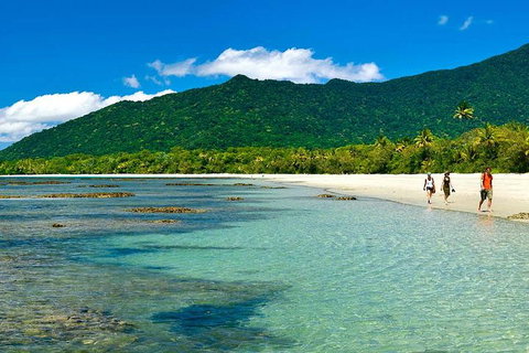 5-Day Best Of Cairns With Daintree, Kuranda, And Great Barrier Reef - Foster Accommodation 0