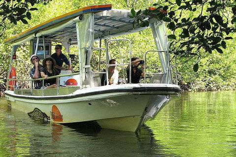 5-Day Best Of Cairns With Daintree, Kuranda, And Great Barrier Reef - Foster Accommodation 1