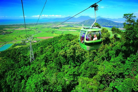 5-Day Best Of Cairns With Daintree, Kuranda, And Great Barrier Reef - Foster Accommodation 2
