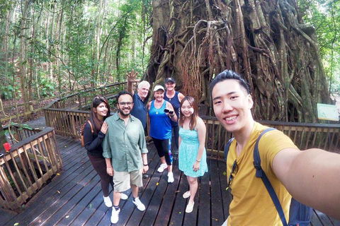 Cairns 4WD Waterfall And Rainforest Tour Including Kuranda Scenic Railway - Foster Accommodation 0