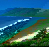 Cairns Reef and Rainforest Combo Daintree Rainforest and the Great Barrier Reef - Foster Accommodation