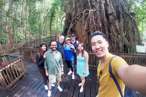 Barron Gorge And Kuranda National Park Half Day Rainforest And Waterfall 4WD Tour From Cairns - Foster Accommodation 5