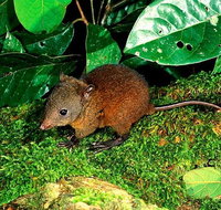 3-Day Small-Group Tour of North Queensland with Pick Up - Foster Accommodation