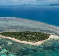 4-Day Cairns with Great Barrier Reef and Daintree Rainforest - Foster Accommodation