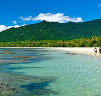 Private Daintree National Park Day Tour from Cairns Including Cape Tribulation and Mossman Gorge - Foster Accommodation