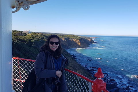 Great Ocean Road Full Day Private Experience - Foster Accommodation 1