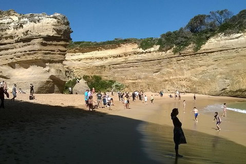 Great Ocean Road Full Day Private Experience - Foster Accommodation 3