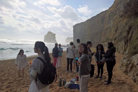 Great Ocean Road Full Day Private Experience - Foster Accommodation 4