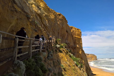 Private Express Experience - 12 Apostles - Foster Accommodation 3