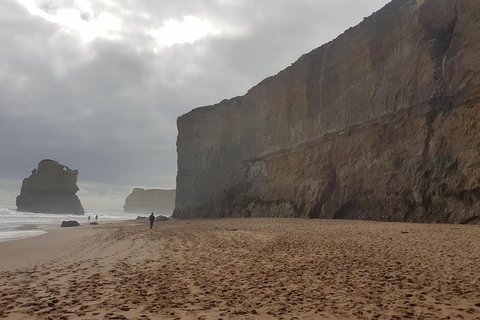 Private Express Experience - 12 Apostles - Foster Accommodation 4