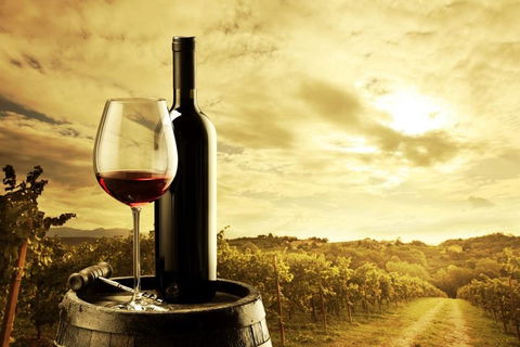 McLaren Vale Luxury Wine Tour - Foster Accommodation 0