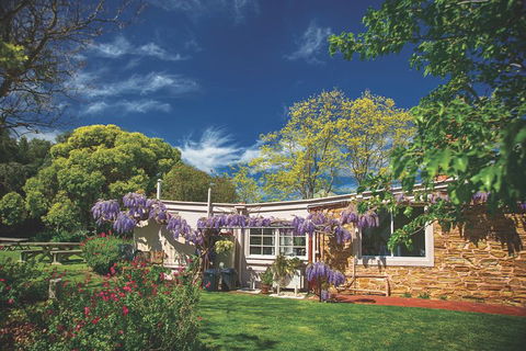 McLaren Vale Winery Small Group Tour With Wine Tasting And Lunch - Foster Accommodation 2
