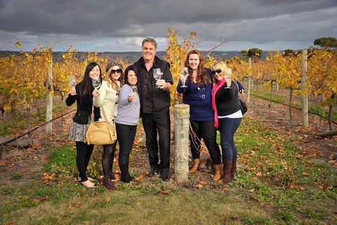 McLaren Vale Winery Small Group Tour With Wine Tasting And Lunch - Foster Accommodation 3