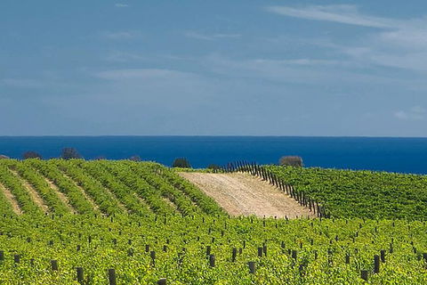 McLaren Vale Winery Small Group Tour With Wine Tasting And Lunch - Foster Accommodation 4