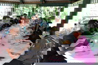 Natural Bridge Skywalk and Mt tamborine Adventure, Brisbane