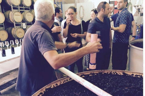 Luxury Private Mclaren Vale Wine Tour - Foster Accommodation 4