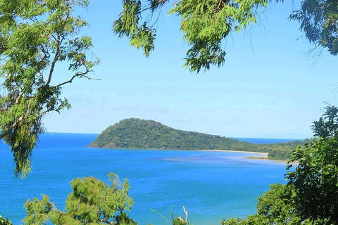 Full Day Tour In The Daintree - Foster Accommodation 1