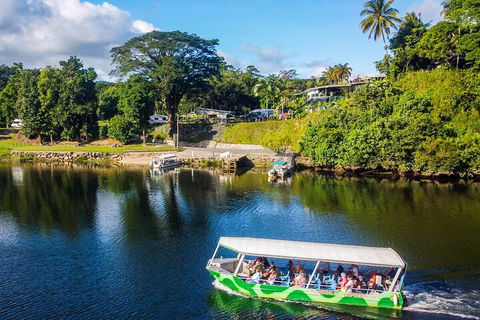 Full Day Tour In The Daintree - Foster Accommodation 2