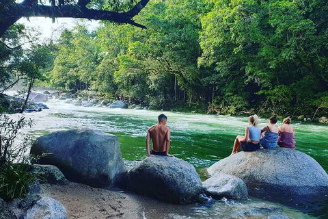 Full Day Tour In The Daintree - Foster Accommodation 3
