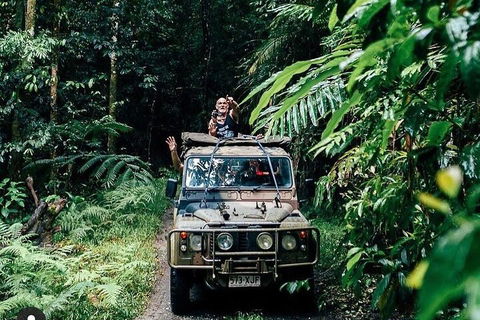 Full Day Tour In The Daintree - Foster Accommodation 4