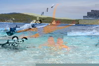 Book Viator Accommodation Vacations Foster Accommodation Foster Accommodation