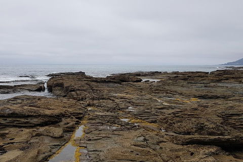 Luxury Private Great Ocean Road Tour Up To 11 People - Entire Vehicle - Foster Accommodation 1
