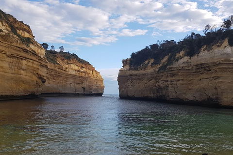 Luxury Private Great Ocean Road Tour Up To 11 People - Entire Vehicle - Foster Accommodation 2