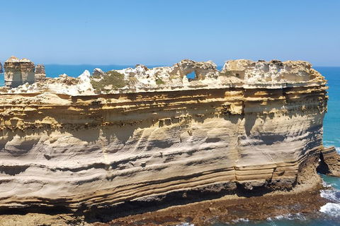 Luxury Private Great Ocean Road Tour Up To 11 People - Entire Vehicle - Foster Accommodation 4
