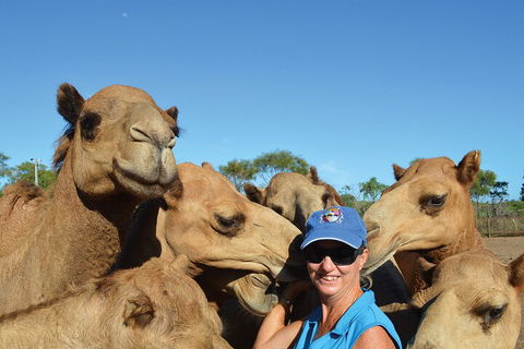 Broome Pre-sunset Camel Tour 30 Minutes - Foster Accommodation 0